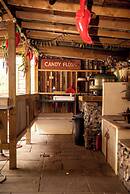 Wonderland Party Retreat
