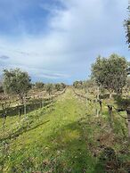 Tenuta Le Mandorlaie Agriturismo