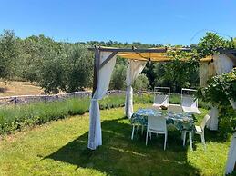Tenuta Le Mandorlaie Agriturismo