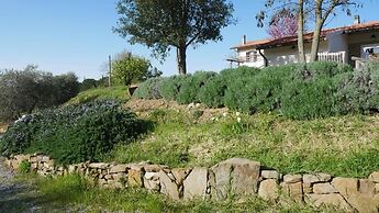 Tenuta Le Mandorlaie Agriturismo
