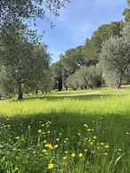 Tenuta Le Mandorlaie Agriturismo