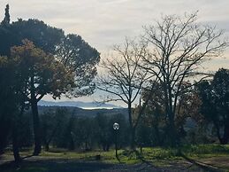 Tenuta Le Mandorlaie Agriturismo