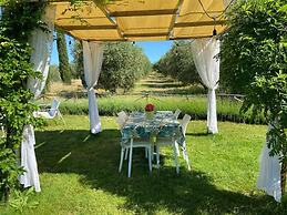 Tenuta Le Mandorlaie Agriturismo