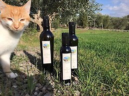Tenuta Le Mandorlaie Agriturismo
