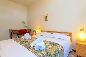 Villaggio dei Fiori - Viola