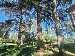 Le Jardin des Cèdres