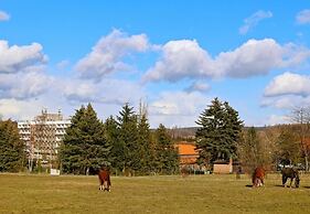 Carea Harz Hotel Allrode