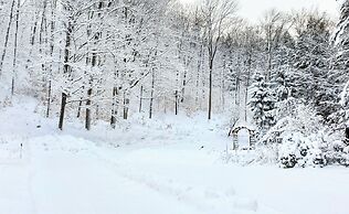 Winter Lore