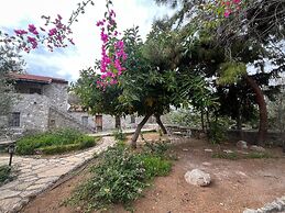 Zeytin Evi