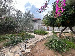Zeytin Evi