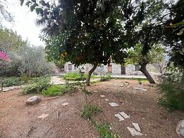 Zeytin Evi