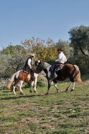 Agriturismo L'Uliveto Equestre