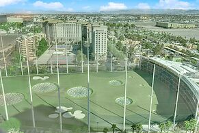 Aurora Haven MGM