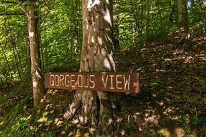 Gorgeous View Cabin - in Red River Gorge, KY