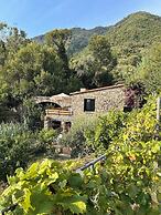 Villa Olive Mill Terra Rossa