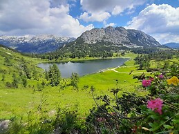 Grimming View I