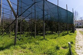 Tenuta Di Leva