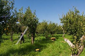 Tenuta Di Leva