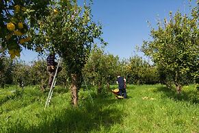 Tenuta Di Leva