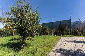 Tenuta Di Leva