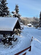 Nakiska Bear Ranch