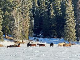 Nakiska Bear Ranch