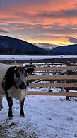 Nakiska Bear Ranch