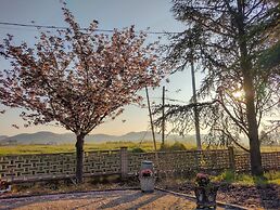 Villa With Pool Monferrato · Botto Living