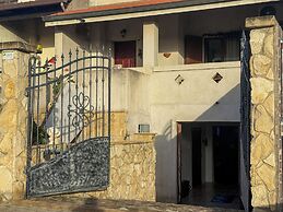 L'ulivo