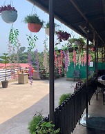 PHS KASAULI HILLS