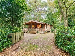 Squirrels Chase - Kelling Heath Holiday Park - 18691