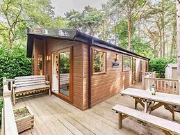Pine Lodge - Kelling Heath Holiday Park - 20952
