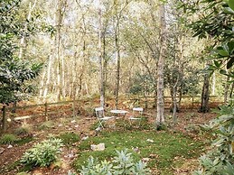 Chestnuts - Kelling Heath Holiday Park - 20958