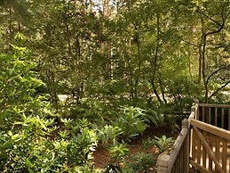 Slow You Down - Kelling Heath Holiday Park - 21026
