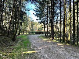 L'écrin de la forêt
