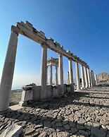 No4Pergamon