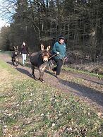 Landhotel Lortz
