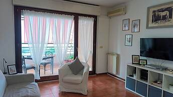 Marci's House