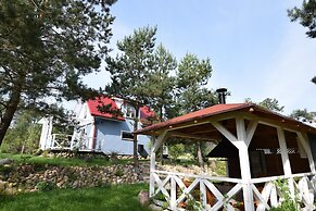 House With Private Garden and Sauna