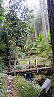 3 Bed House - Mountain Views, Firepit, Bbq