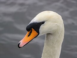 6 Swan House