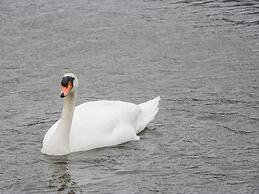6 Swan House