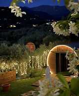 LE BOTTI FIORENTINE
