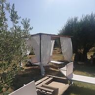 Agriturismo La Fontanella & Glamping