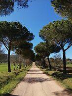 Agriturismo La Fontanella & Glamping