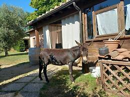 Agriturismo gli Archi
