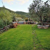 IL GIARDINO DI DANIELA APARTMENTS
