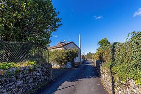 Vigna Dell'Etna