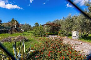 Vigna Dell'Etna
