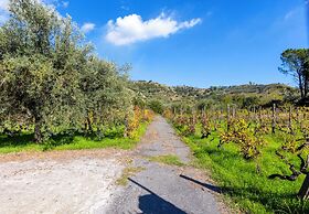Vigna Dell'Etna